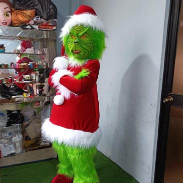 Déguisement mascotte Grinch