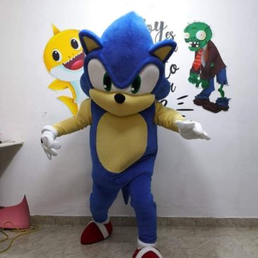 Location mascotte Sonic