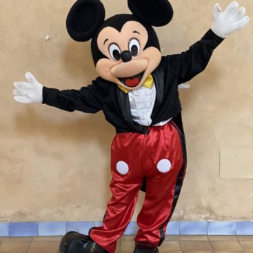 Location mascotte souris