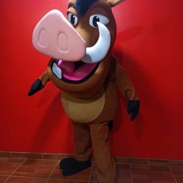 Location mascotte déguisement Pumbaa